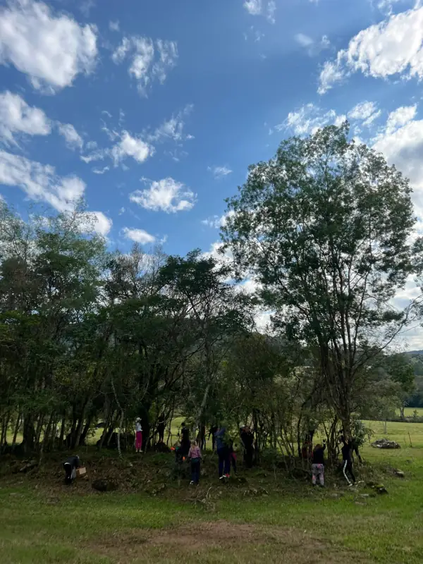 Voluntários em atividade no bosque